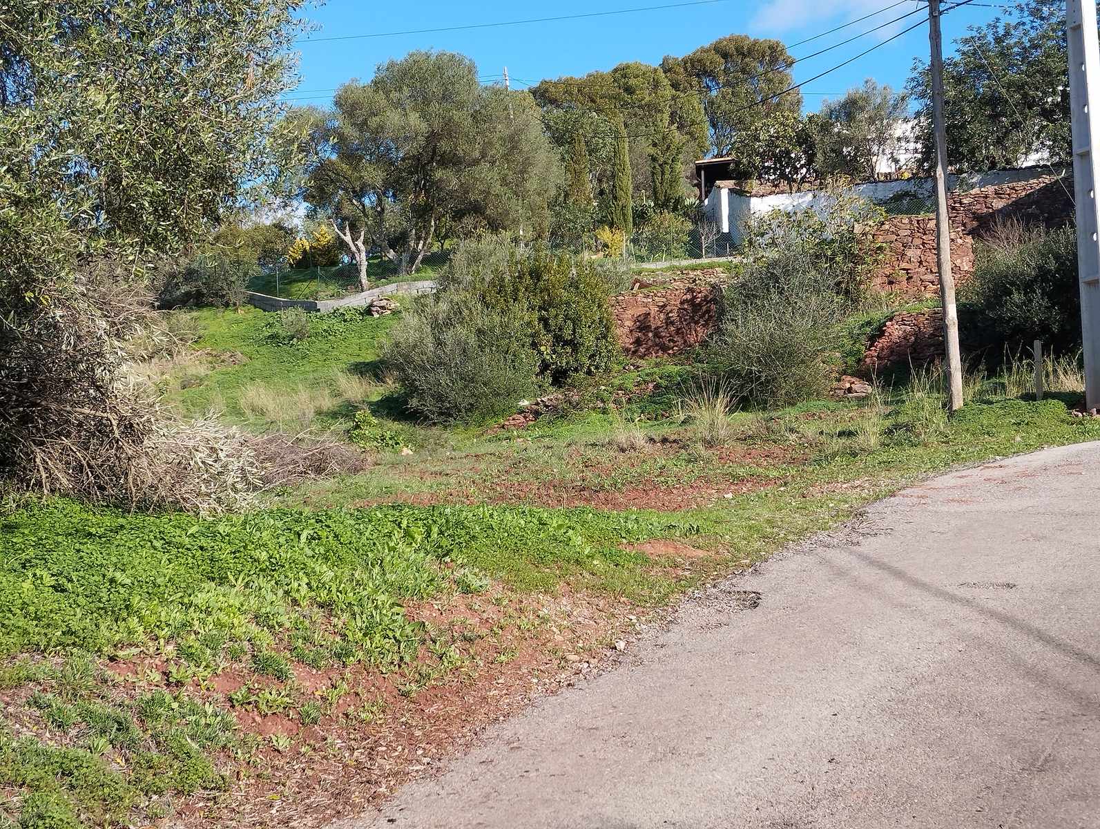 Land for sale in São Brás de Alportel, Portugal — €166,000